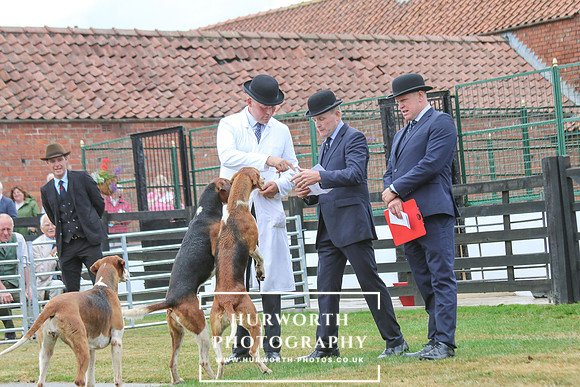 Hurworth Hunt 156