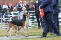 Hurworth Hunt 158