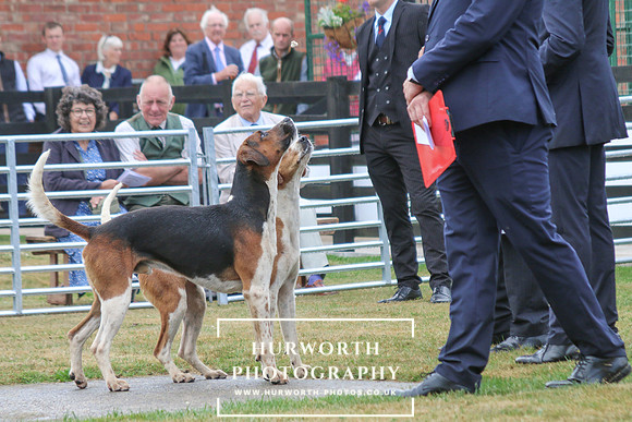 Hurworth Hunt 158