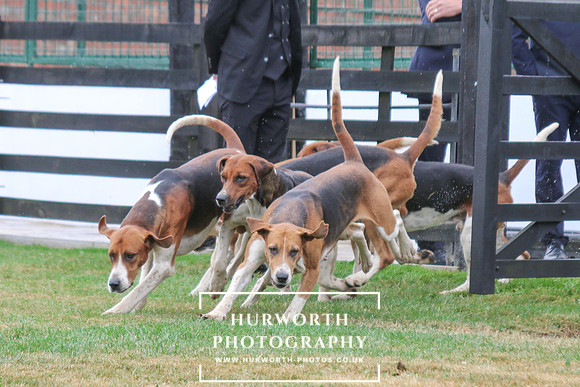 Hurworth Hunt 159