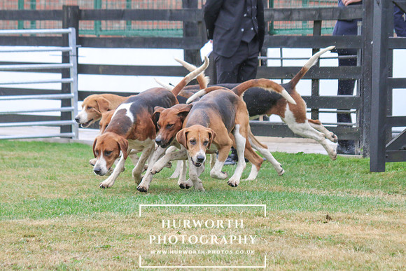 Hurworth Hunt 160