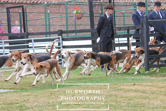 Hurworth Hunt 164