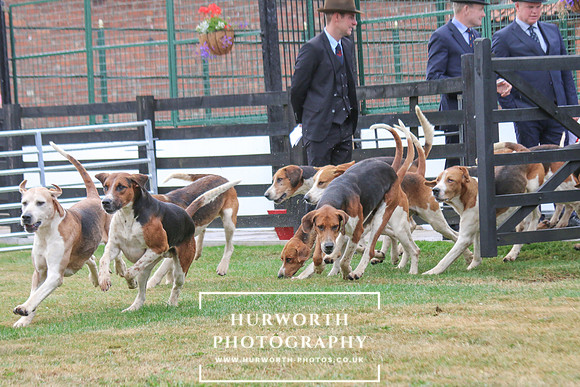 Hurworth Hunt 165