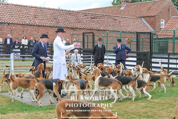 Hurworth Hunt 177