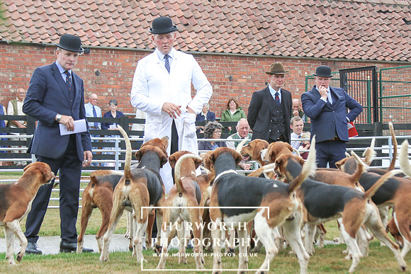 Hurworth Hunt 190