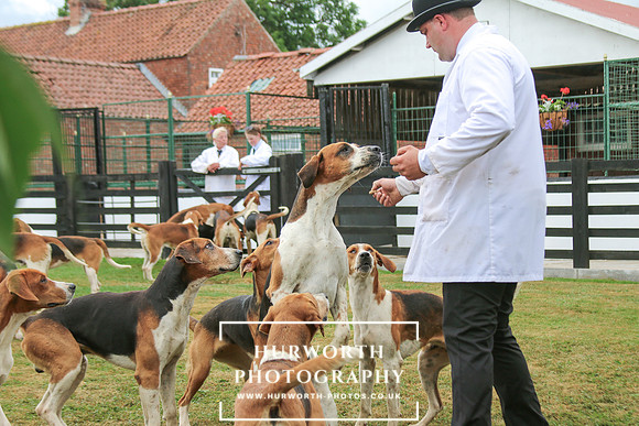 Hurworth Hunt 205