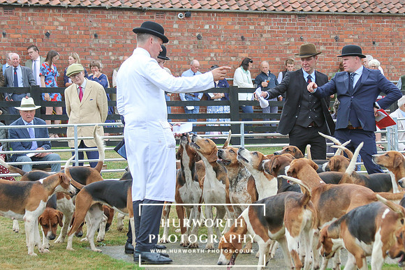 Hurworth Hunt 213