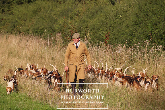 Hurworth Hunt 235