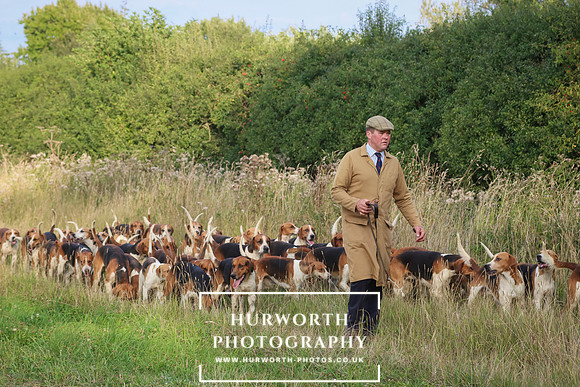 Hurworth Hunt 238