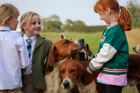 Hurworth Hunt 272