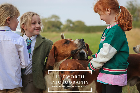 Hurworth Hunt 272