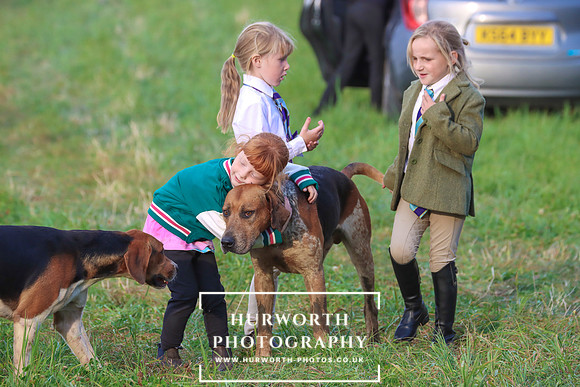 Hurworth Hunt 288