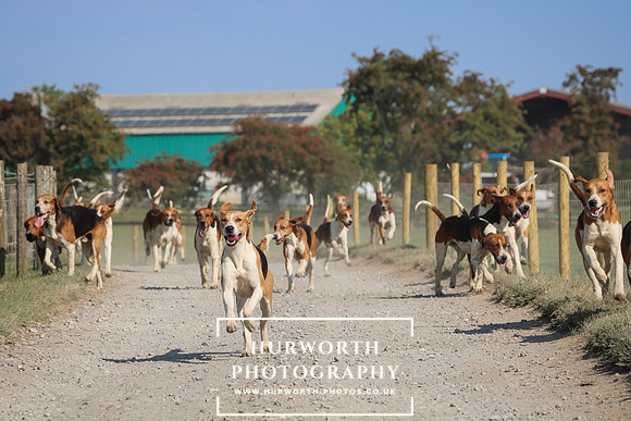Hurworth Hunt 135