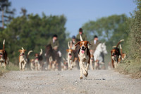 Hurworth Hunt 143