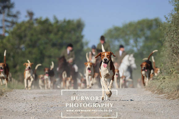 Hurworth Hunt 143