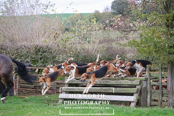 Hurworth Hunt 115