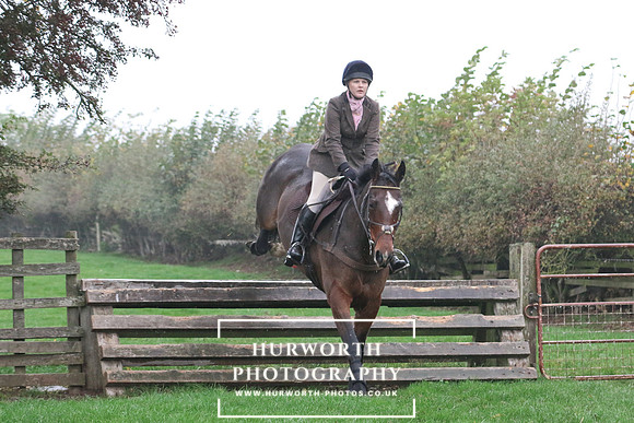 Hurworth Hunt 96