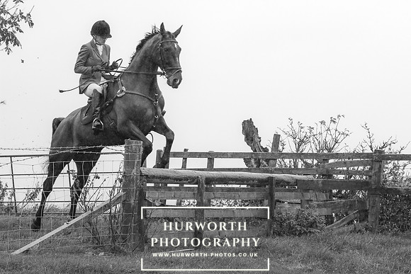 Hurworth Hunt 589