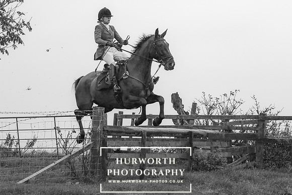 Hurworth Hunt 590