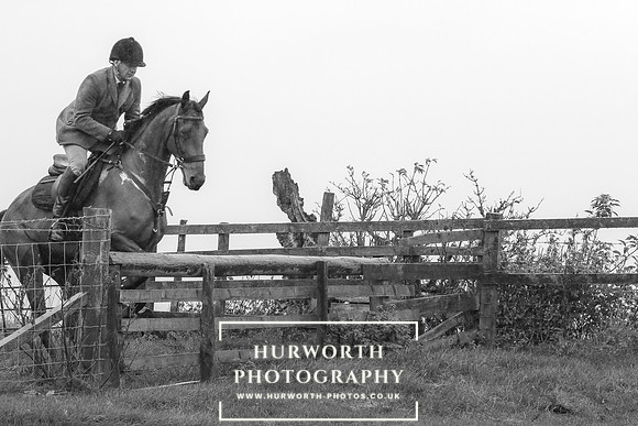 Hurworth Hunt 593