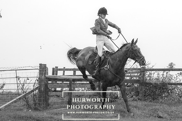 Hurworth Hunt 592