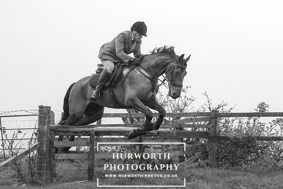 Hurworth Hunt 595