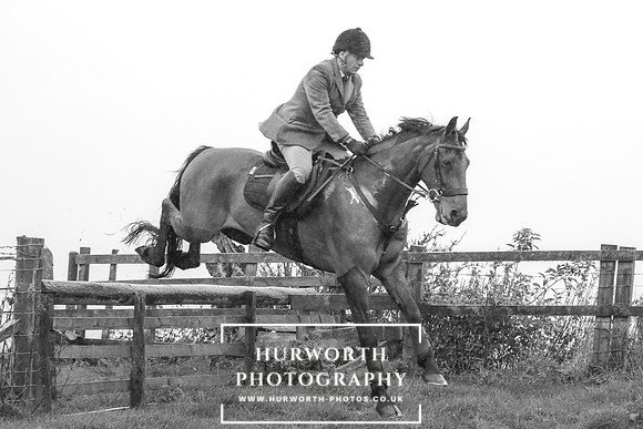 Hurworth Hunt 596