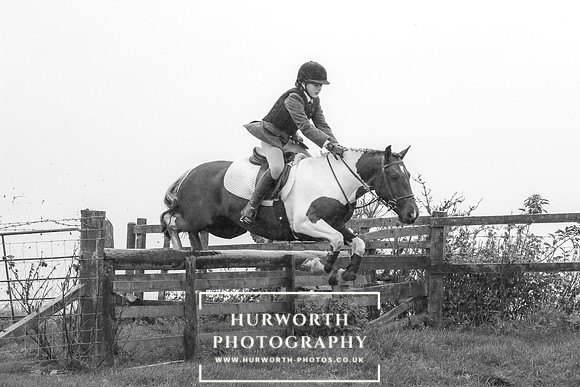 Hurworth Hunt 627