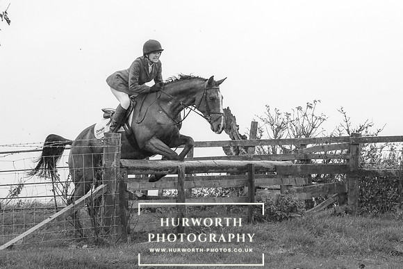 Hurworth Hunt 634