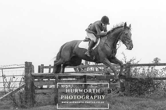 Hurworth Hunt 642