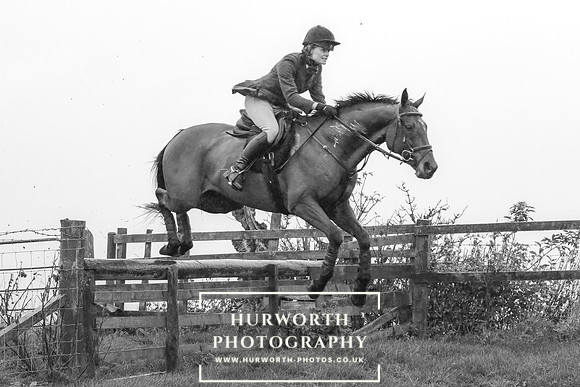 Hurworth Hunt 646