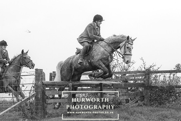 Hurworth Hunt 648
