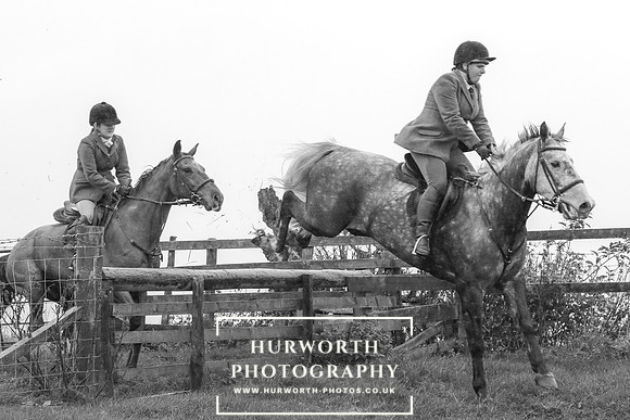 Hurworth Hunt 650
