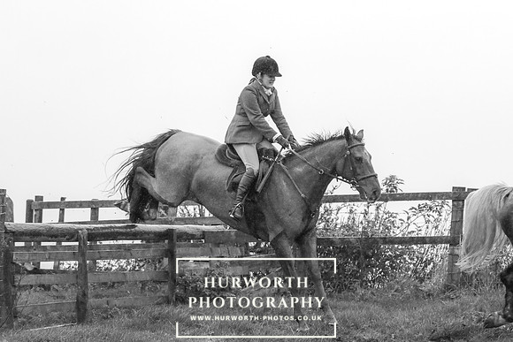 Hurworth Hunt 653
