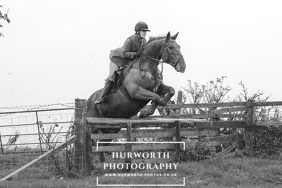 Hurworth Hunt 654
