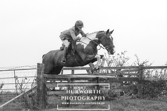 Hurworth Hunt 658