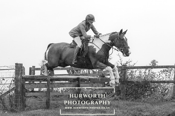 Hurworth Hunt 659