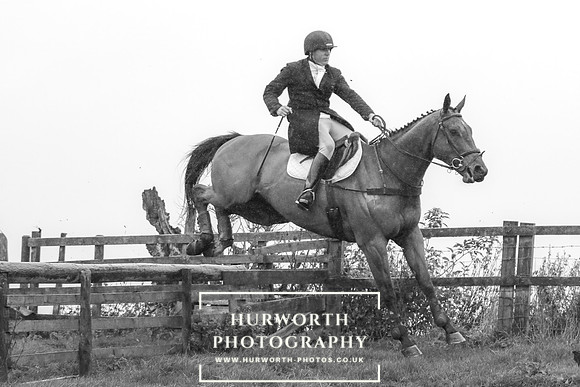 Hurworth Hunt 663