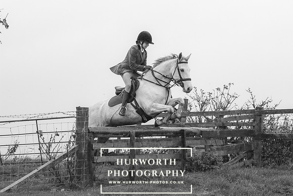 Hurworth Hunt 664