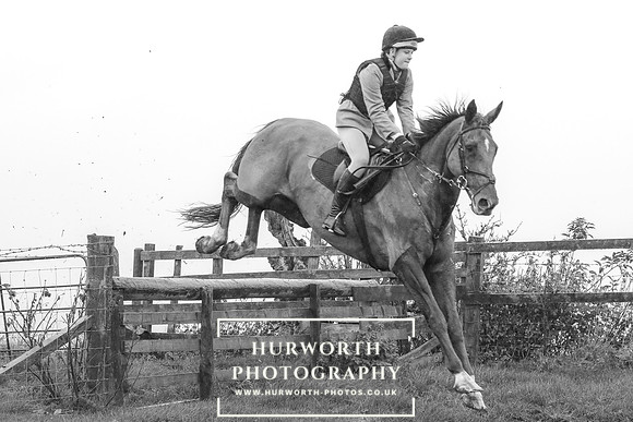 Hurworth Hunt 669