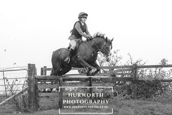 Hurworth Hunt 674