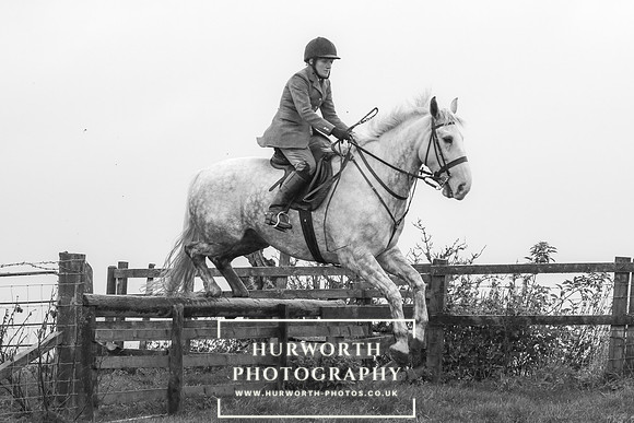 Hurworth Hunt 689