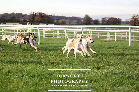 Countryside Raceday 136