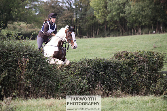 Hurworth Bilsdale Hedge Hop 639