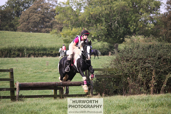 Hurworth Bilsdale Hedge Hop 186