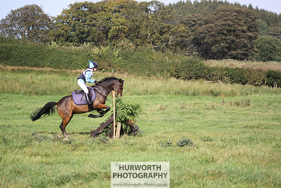 Hurworth Bilsdale Hedge Hop 332