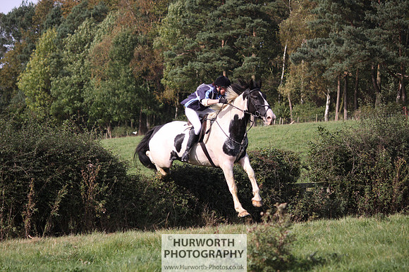Hurworth Bilsdale Hedge Hop 538