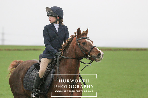 Huworth Hunt 196