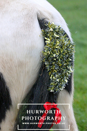 Huworth Hunt 40