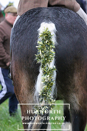 Huworth Hunt 38